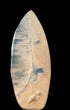 eternal shoreline surfboard art